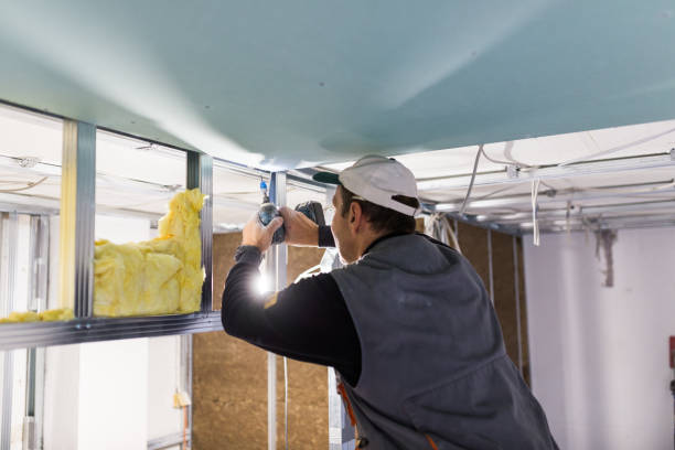 Best Insulation Installation Services in Willoughby Hills, OH